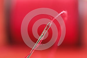 Sewing needle on red thread spool blurred background