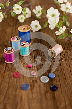 sewing supplies with white dogwood flowers