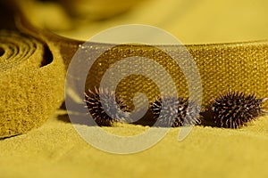 Sewing yellow Velcro tape in a roll closeup on a yellow background next to its natural counterpart prickly burdock nuts.