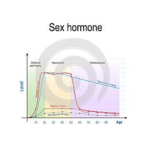 Sex hormones and ageing. Levels of Testosterone for males and females, and Estradiol for men and women