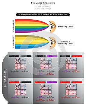 Sex Linked Characters Infographic Diagram with example of color blindness