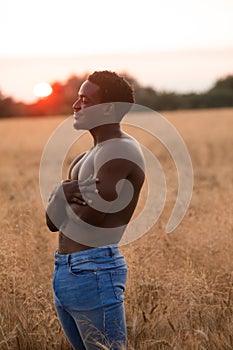 Sexual man posing shirtless in grain field