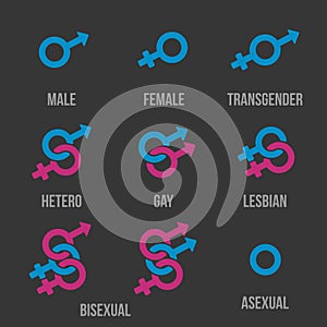 Sexual orientation vector icons