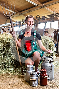 Countrywoman in cowhouse