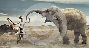 fashionable lady with elephant photo