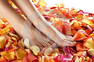 feet of a young woman on fallen petals