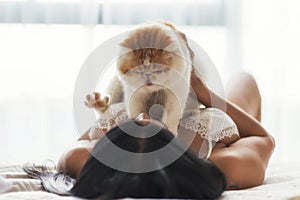 Sexy girl hold yellow exotic shorthair cat on bed