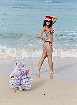 girl Santa in bikini on a beach fir-tree