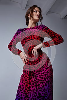 Sexy pretty fashion woman wear animal print red dress casual trend clothes collection catalogue  brunette hair party style model