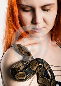 Sexy redhead woman holding snake. close-up photo girl with pygmy python on a white background