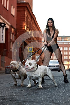 Sexy and srong brunette woman posing with bully dog on city street, looking at camera.