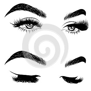 Sexy winking luxurious eye with perfectly shaped eyebrows and full lashes. Idea for business visit card, typography vector. Perfec