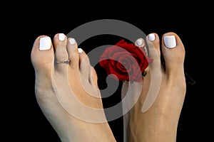 Close up of pretty girl feet in detail with red rose flower isolated on black background, `Greek foot` known as Morton`s toe photo