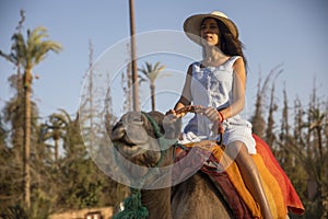 Sexy woman with a hat on a dromedary or camel in the desert of the palm grove of Marrakech in Morocco