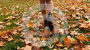 Sexy woman in high heels walking over the grass lawn covered with fallen tree leaves in autumn