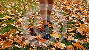 Sexy woman in pantyhose and high heels walking on yellow autumn leaves in park