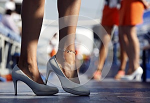 womanish leg in shoe photo