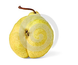 yellow pear