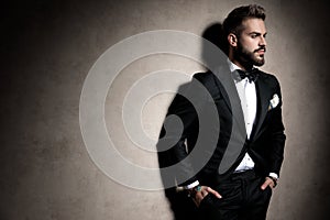 Sexy young elegant guy in tuxedo posing