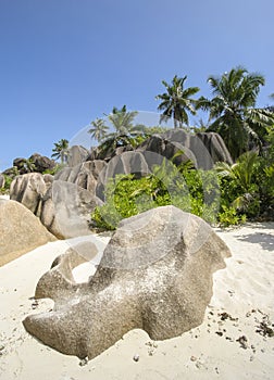 Seychelles