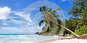 Seychelles Anse Georgette beach Praslin island palm panoramic view vacation sea