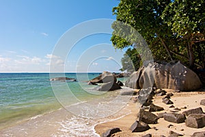 Seychelles Beach 1