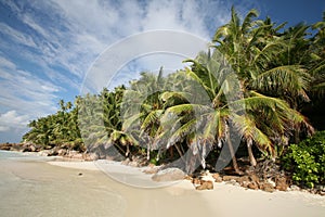 Seychelles beach