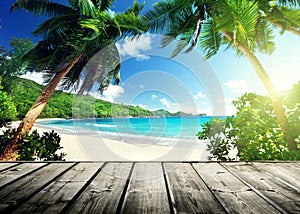 Seychelles beach photo