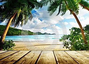 Seychelles beach photo