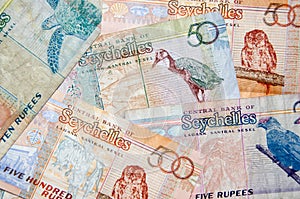 Seychelles Currency photo