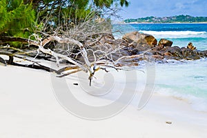 Seychelles dream beach