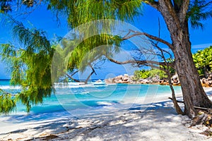 Seychelles dream beach