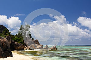 Seychelles dream beach with Doc