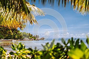 Seychelles famous Anse Source d'Argent beach with well-known granite boulder rocks at La Digue island. Leaves framed