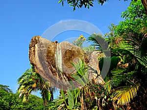 Seychelles, island of Mahe, dog headed rock