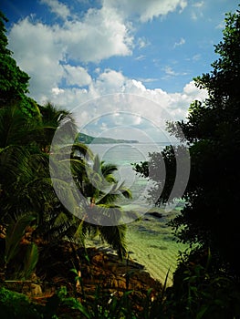 Seychelles, Mahé Island, along the coast of Anse Royale