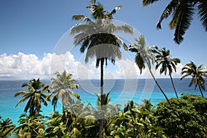 Seychelles panorama photo