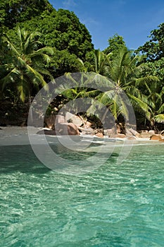 Seychelles. Praslin island photo