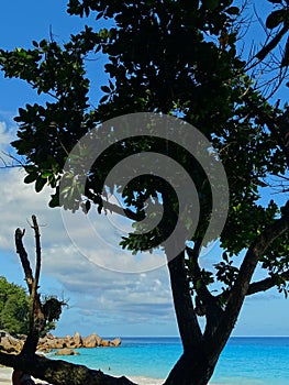 Seychelles, Praslin island, Anse Georgette beach