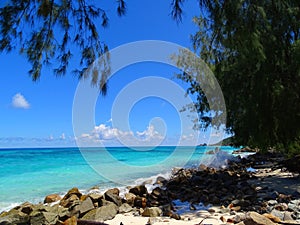 Seychelles,  Praslin Island, Anse Kerlan beach