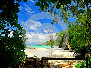 Seychelles, Praslin Island, Anse Kerlan beach