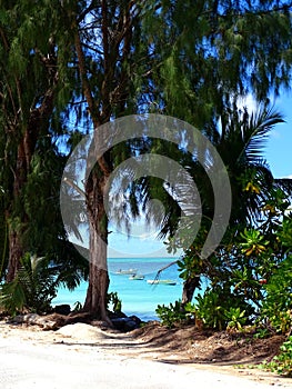 Seychelles,  Praslin Island, Grand Anse beach