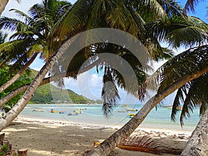 Seychelles, Praslin Island, Grand Anse