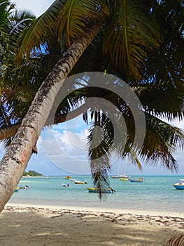 Seychelles, Praslin Island, Grand Anse