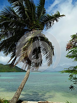 Seychelles, Praslin island, Saint Anne bay