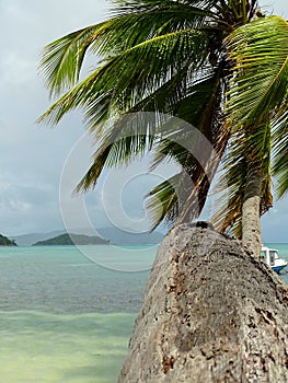 Seychelles, Praslin island, Saint Anne bay