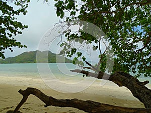 Seychelles, Praslin island, Saint Anne bay