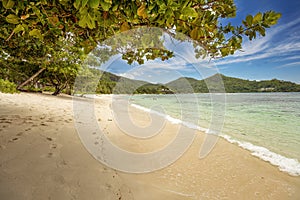 Seychelles summer tropical landscape. Famous tropical coral sandy palm beach Baie Lazare, Seychelles, Mahe island, Indian ocean. photo