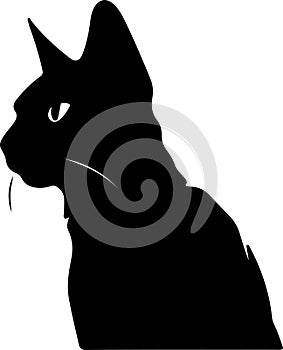 Seychellois Cat Black Silhouette Generative Ai