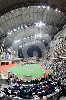 Sha Tin Racecourse, Hong Kong